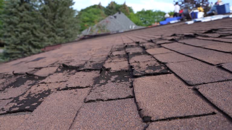 Best Asphalt Shingles Roofing  in Washington, DC